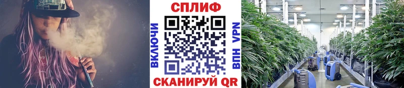 MEGA как зайти  Реутов  Канабис конопля 
